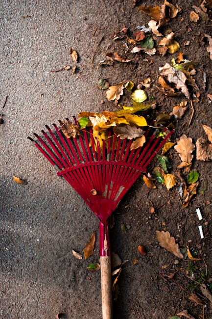 A red plastic hand rake with a wooden handle lying on a paved outdoor surface beside a patch of soil. The rake's tines are spread apart and contain a small collection of fallen autumn leaves in shades